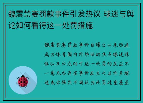 魏震禁赛罚款事件引发热议 球迷与舆论如何看待这一处罚措施