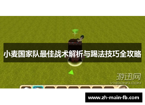 小麦国家队最佳战术解析与踢法技巧全攻略 小麦国家队最佳战术解析与踢法技巧全攻略