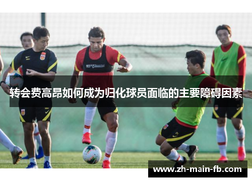 转会费高昂如何成为归化球员面临的主要障碍因素 转会费高昂如何成为归化球员面临的主要障碍因素